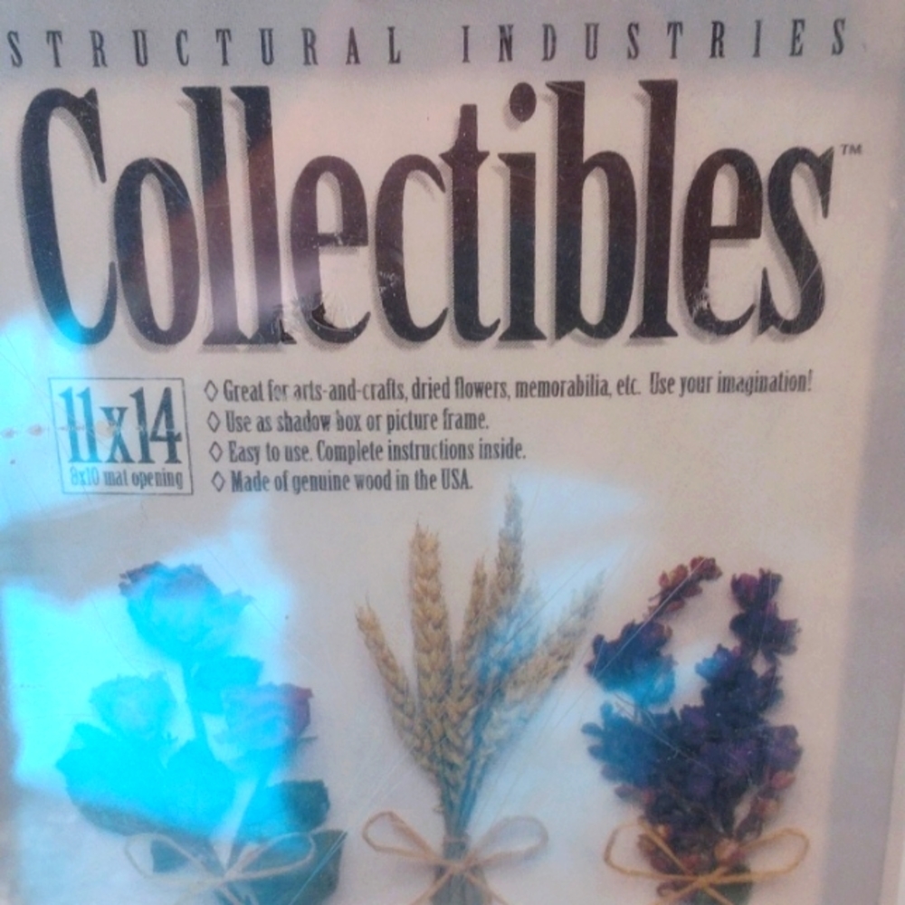 NWT Shadow Box Ash collectibles crafts memorabilia dried flowers frame - Picture 2 of 6
